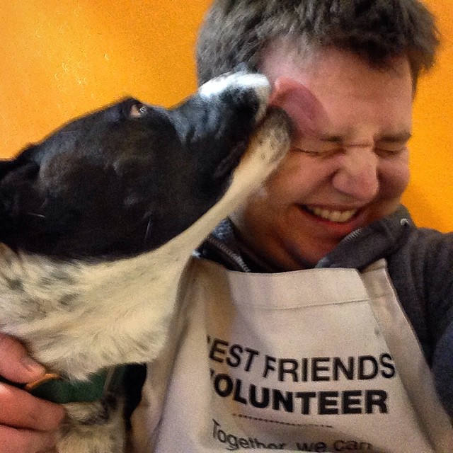 Henney, one of the first dogs I walked when volunteering with Best Friends.